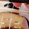 フラジオ