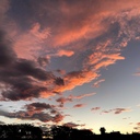 makko_fractus 風の中を