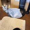 出来ることから少しづつ。