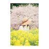 桜と菜の花