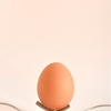 卵の効果は？健康維持に欠かせない栄養素が満載！