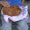 王子動物園王子