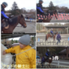 富士山麓鳴沢村で乗馬体験 　ホーストレッキング 　🐎