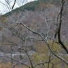 小屋開けの遊山　芽吹くとき