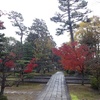 京都ｄｅお散歩　１５８　～智積院の紅葉～