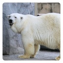 旦那さんとのゆったり生活