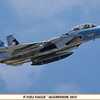 今プラモデルの1/48 F-15DJ イーグル ”アグレッサー 2013”にいい感じでとんでもないことが起こっている？