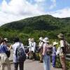 2024年7月31日(水)虫に注目する自然散歩「定山渓」