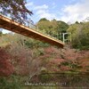泉自然公園の紅葉  November 2017