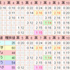 個体値30・31を調べるDS仮完成