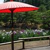 浄楽園のあやめ（福島市）