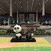 【2018年SFC修行】北京国際空港 エアチャイナビジネスラウンジ訪問記