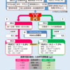 食事のときに、野菜を先に食べる→血糖値は下がる？　part2