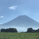 Life in Yamanashi.