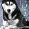 しっぽの声 10巻＜ネタバレとわずか5円で読む方法＞密漁よりヤバい状況とは！？