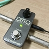 【ワンスイッチで完結させるルーパー】TC ELECTRONIC Ditto Looperの使い方