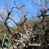 今日で社会福祉士・精神保健福祉士試験終了から3週間が経ちました。