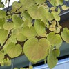 聖書から人間を考える（12）霊に従って歩む