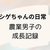 色んな物がシーズン入りして忙しくなってきました!!