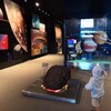 神奈川県立生命の星・地球博物館