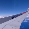 🌴ハワイ旅行へ行く🛫ホノルルは虹と花の街〖６月２６日／ハワイ6月25日〗