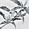 枇杷を水墨画で描く