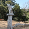 湖西アルプス（葦毛湿原・神石山）（静岡県・愛知県）（3/12）