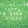 美しく成長した玉鬘と光君の想い（胡蝶　源氏物語　中　角田光代訳）