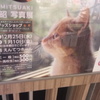 ねこ展