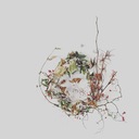 わたしたちらしく。