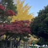 「クラブを持ち上げれば飛距離が出る」という間違った脳の回路を修正したい