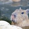 秋の気配