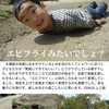 2025年4月16日 エビフライみたいでしょ？