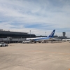 ANA 仙台ー札幌
