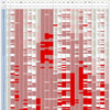 新型コロナウイルス、国別・人口あたり新規感染者数（12月22日現在） /  COVID-19 cases per population by country, as of December 22, 2021