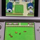 Ds ダービースタリオンds Tomgame日記