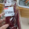 今年の家庭菜園は何を育てようかな　やはり唐辛子を育てたいという衝動