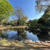 富士市中央公園の池（静岡県富士）