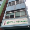 保護猫カフェ紹介「Nhａ　Cｏｎ　Ｍｅｏ」（福岡県久留米市）