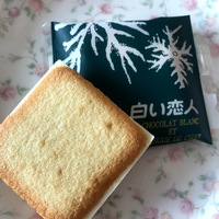 定番土産 白い恋人 じゃない 長野の 白い針葉樹 マルミのどこでもドア