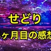 Amazonせどり始めて約3カ月してみた感想「楽し過ぎワロタ」