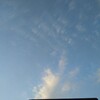 とっさの機転で大流行のあの女のコのモノマネしてみたら笑ってくれた！