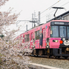 2025/04/05 桜とくまモン電車