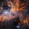 ”Tarantula Nebula”