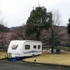 お花見キャンプ in 出会いの森オートキャンプ場