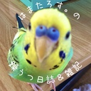 はまたろす。の躁うつ雑記＆日誌