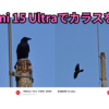 Xiaomi 15 Ultraで飛び立つ瞬間と飛行中のカラスを捉えた🐦‍⬛