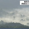 梅雨の晴れ間　阿蘇谷で雲海広がる【熊本】