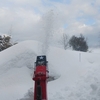 最近は運動不足の解消に雪かきで体力作りをしています