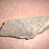 弥生式か縄文式か？